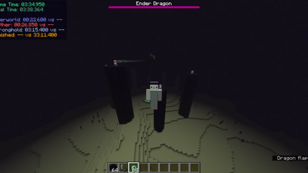 Minecraft Ender Dragon fight